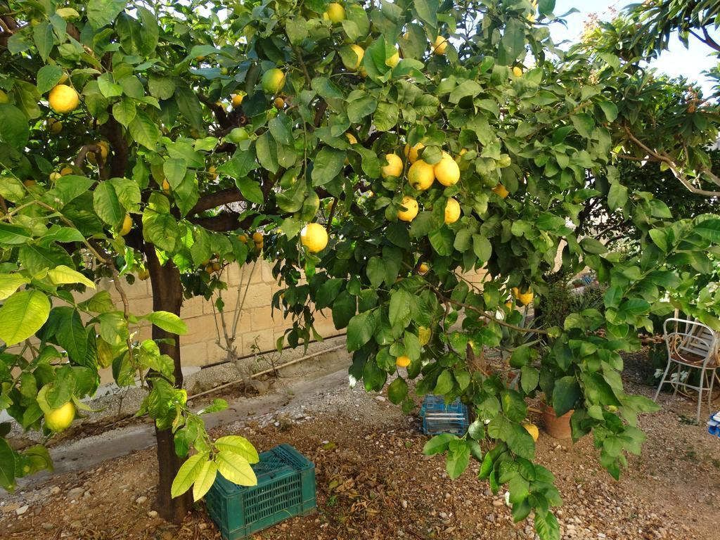 Apartamento Il Giardino Del Corso Avola Exterior foto